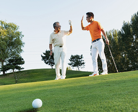 定期協(xié)會(huì)活動(dòng)